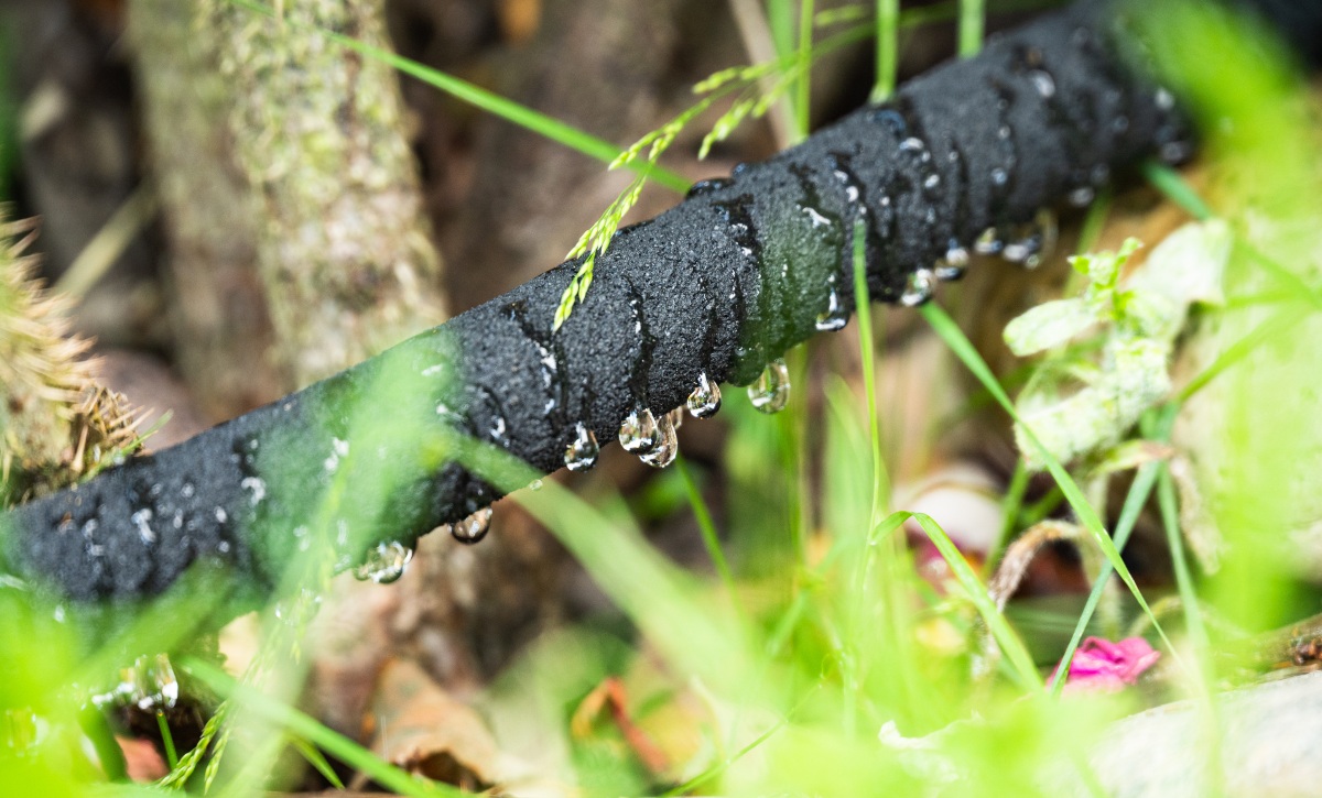 Spart die Tröpfchenbewässerung Wasser