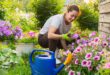 Frau-bei-der-Gartenarbeit- Pflanz- und Gartenarbeit im Mai