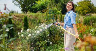 Frau-giesst-Blumen-im-Grten-Welche-Pflanzen-brauchen besonders viel Wasser