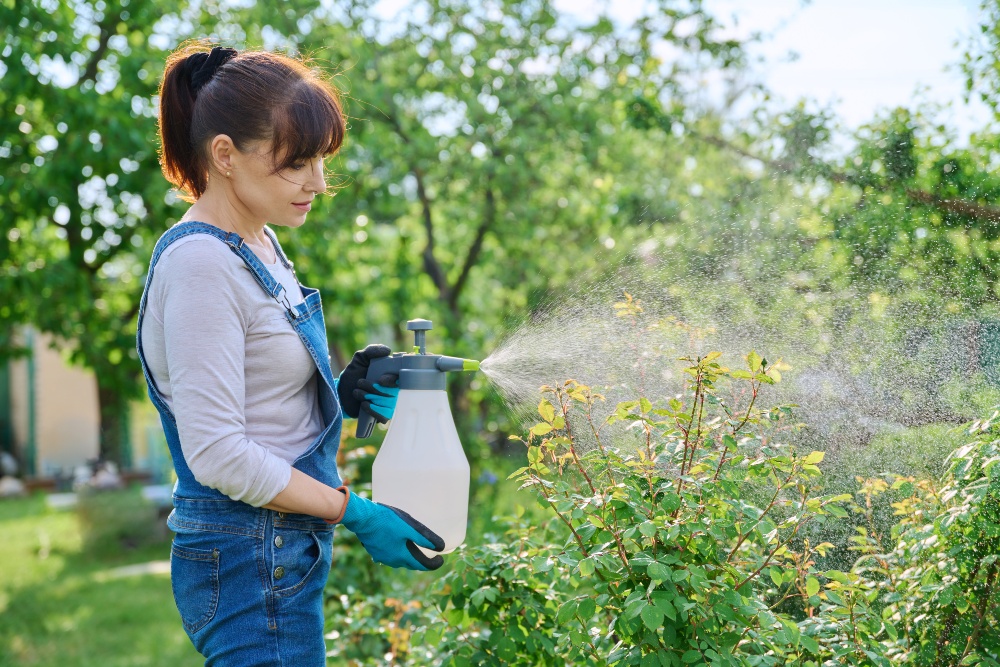 Natürliche Gartenpflege: Hausmittel wie Knoblauchsud oder Teebaumöl schonend auf Pflanzen aufbringen Natürliche Gartenpflege: Hausmittel wie Knoblauchsud oder Teebaumöl schonend auf Pflanzen aufbringen