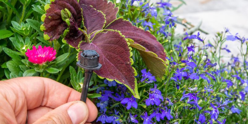 Garten-automatische-Bewässerung