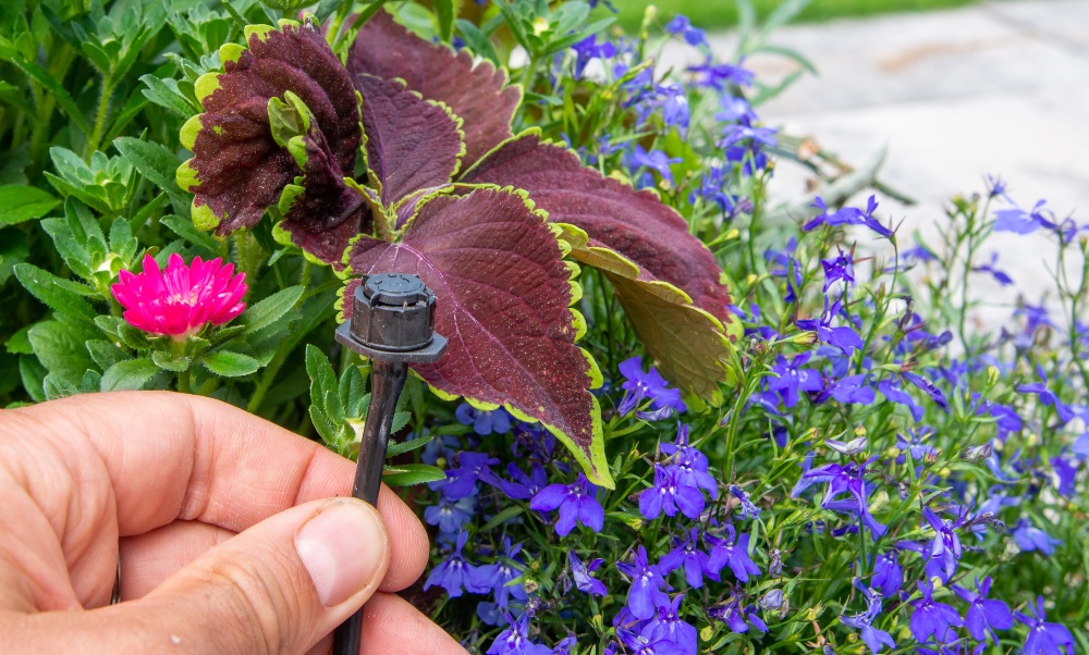 Garten-automatische-Bewässerung