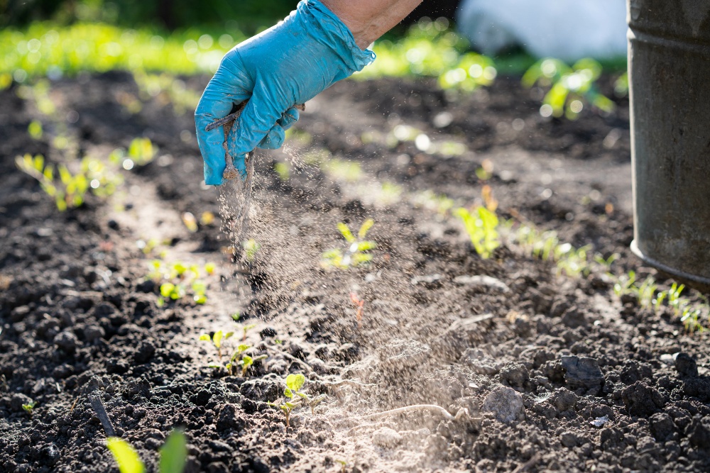 Mit Natron sanft den Boden verbessern und das natürliche Gleichgewicht im Garten fördern Natürliche-Schädlingsbekämpfung-im-Garten