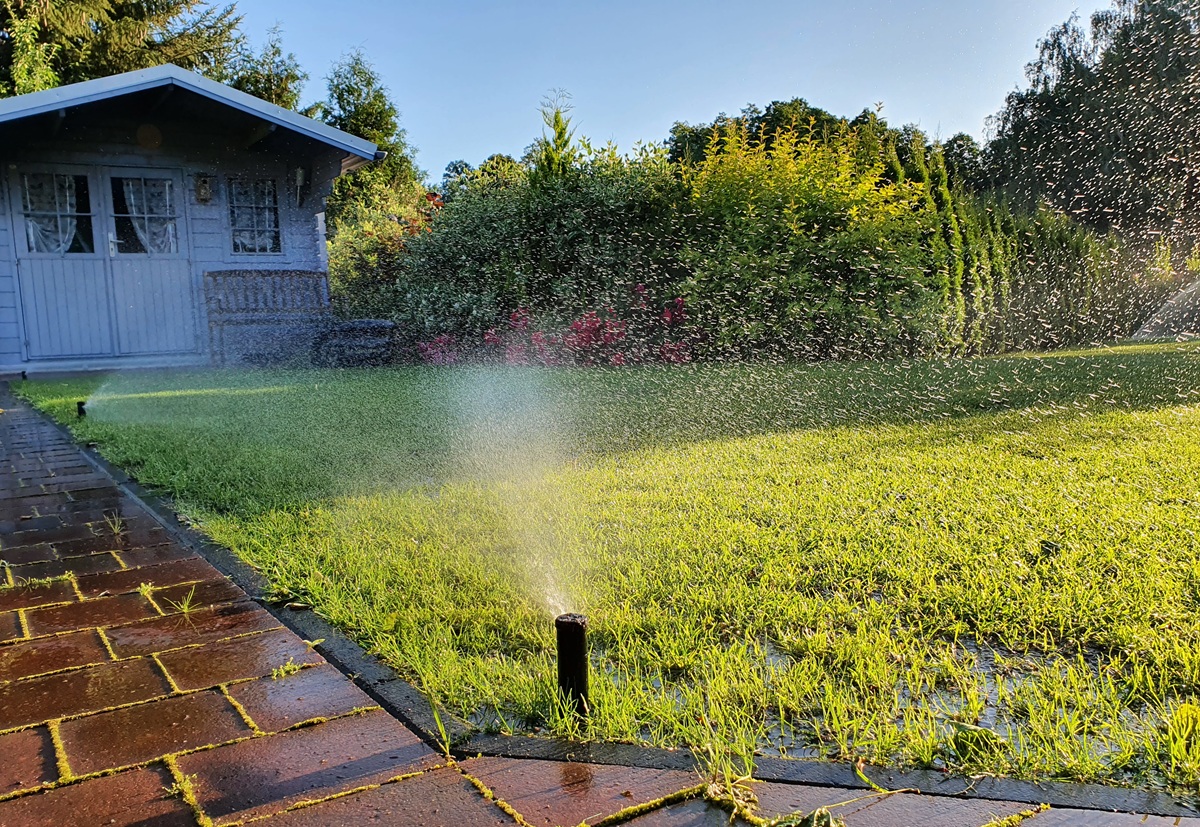Rekubik-Rasenbewässerung - Gartenarbeit im Juli
