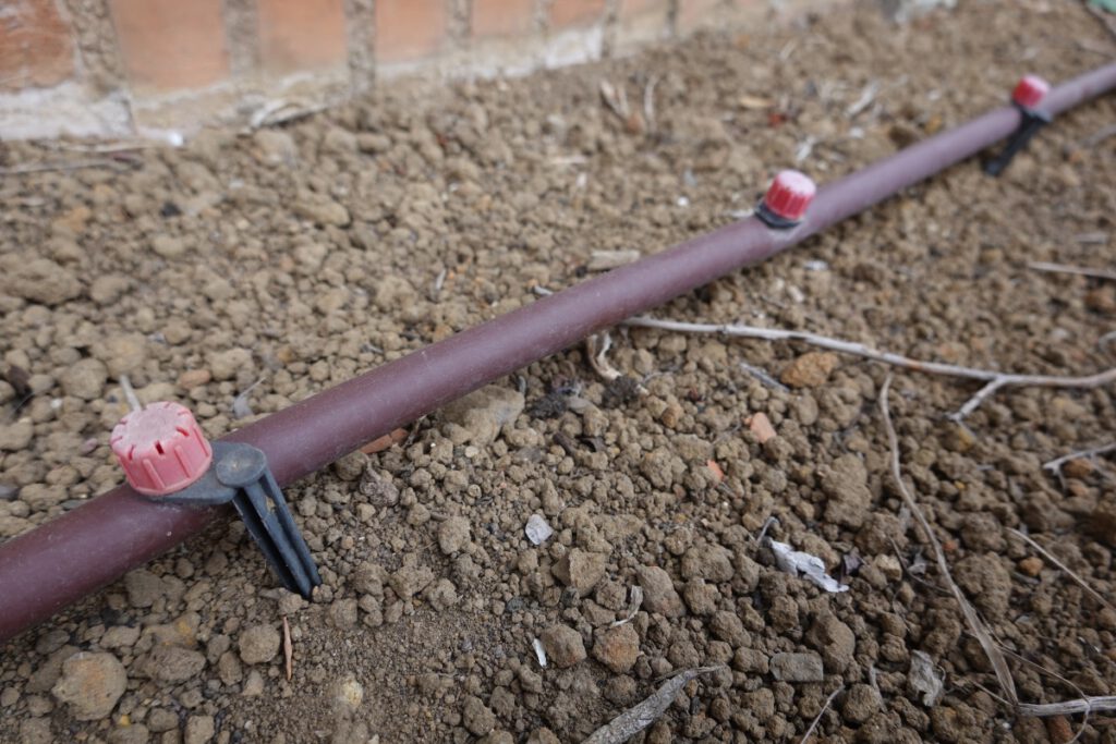 Tropfbewässerung spart Wasser und versorgt Pflanzen auch bei Trockenheit gezielt Gartenbewässerungssystem