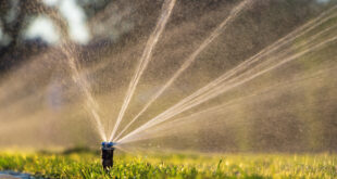 Automatisches Sprinkler System bewässert Rasen