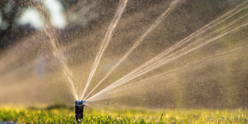 Automatisches Sprinkler System bewässert Rasen