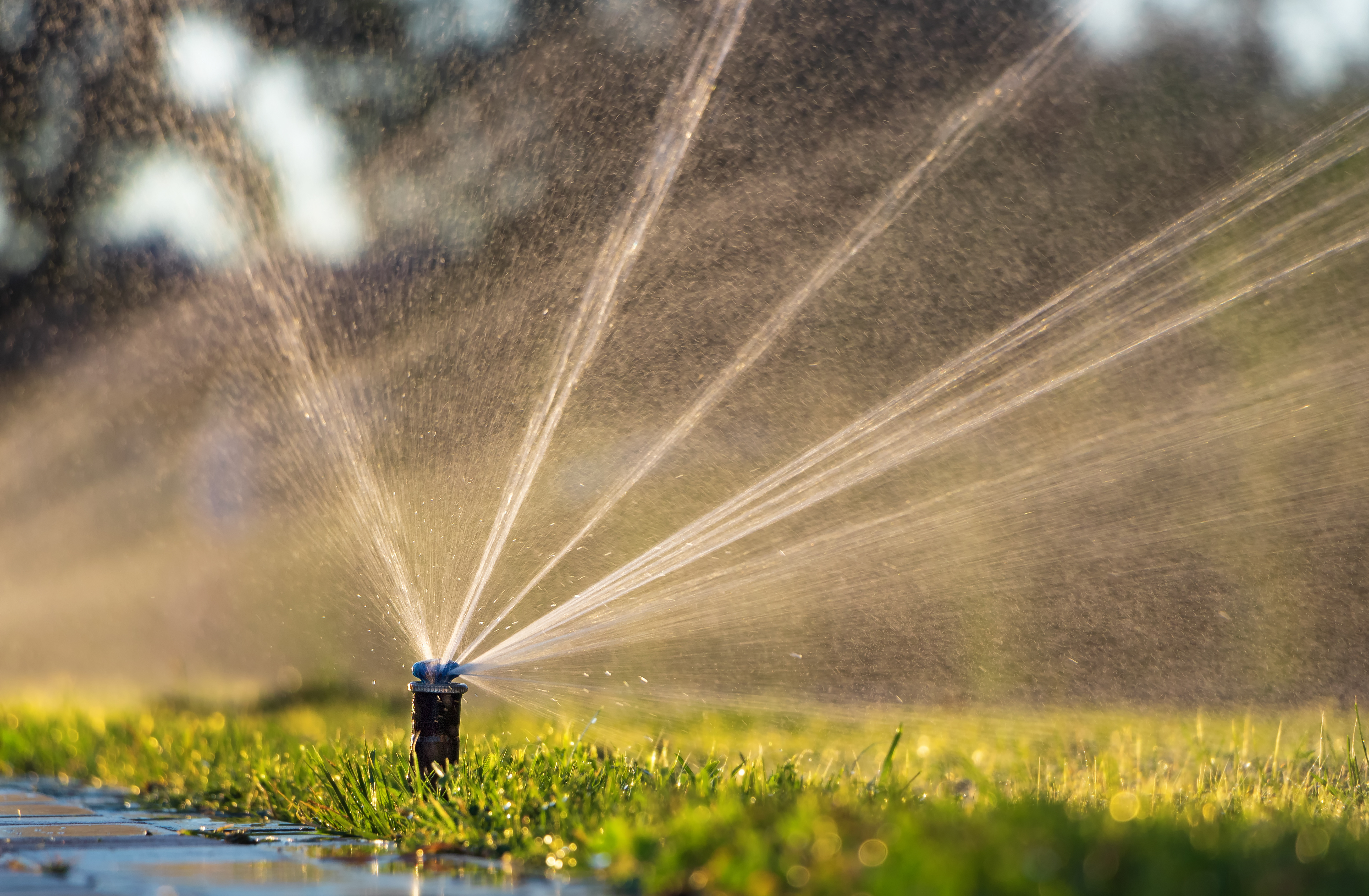 Automatisches Sprinkler System bewässert Rasen
