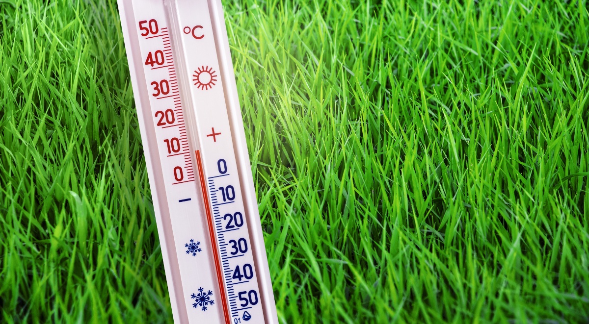 Wenn die Temperatur unter 10 Grad Celsius liegt, ist eine Bewässerung nicht mehr sinnvoll THermometer-im-Gras - Ab welcher Temperatur sollte man den Rasen bewässern?