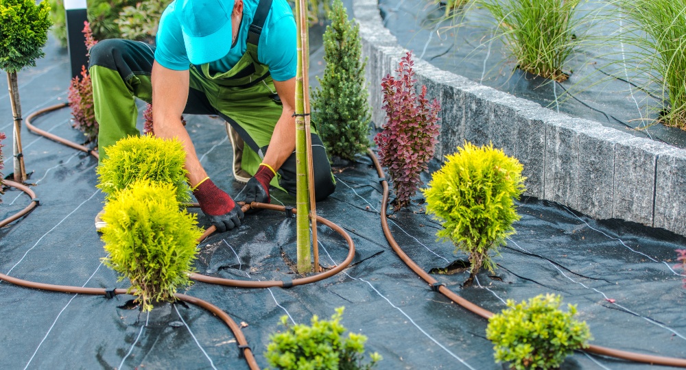 Ein Bewässerungssystem im Garten spart Zeit, ist praktisch und arbeitet effizient Tropfbewässerungssystem