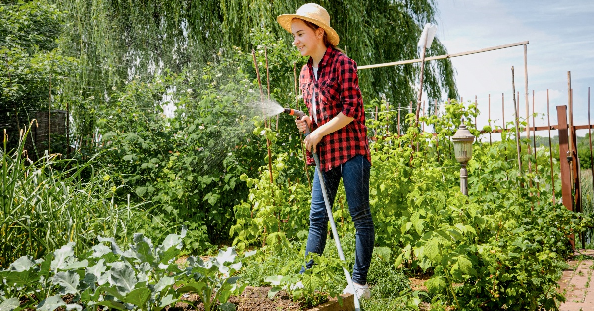 Frau-bewässert-Gemüsegarten
