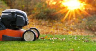 Gartenarbeit im Oktober