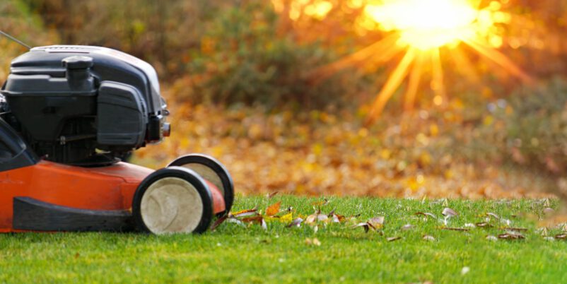 Gartenarbeit im Oktober