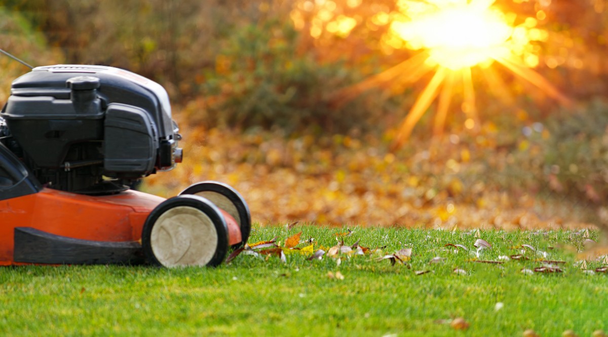 Gartenarbeit im Oktober