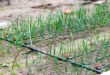 Gartenbewaesserungssystem