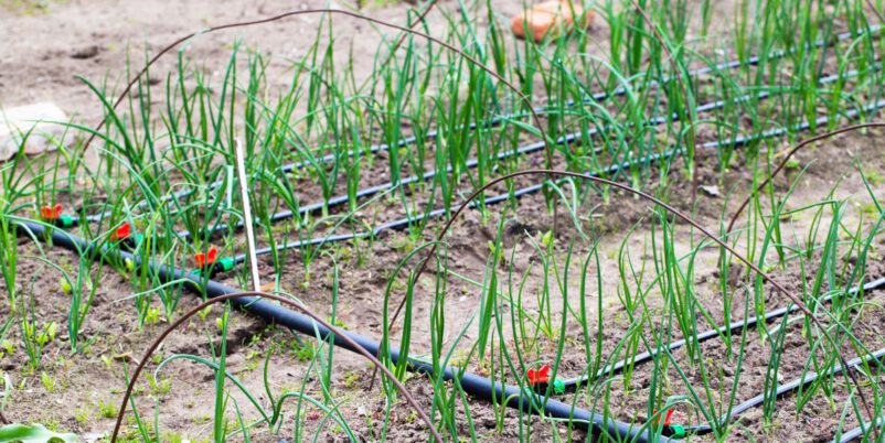 Gartenbewaesserungssystem