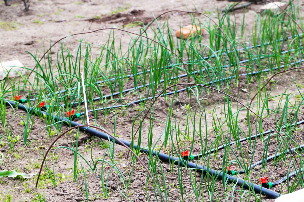 Gartenbewaesserungssystem