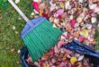 Laub auf Rasen und in Plastiksack, darauf liegt ein Besen mit grünen Borsten und Holzstiel