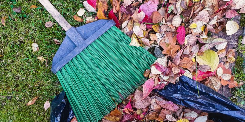 Laub auf Rasen und in Plastiksack, darauf liegt ein Besen mit grünen Borsten und Holzstiel