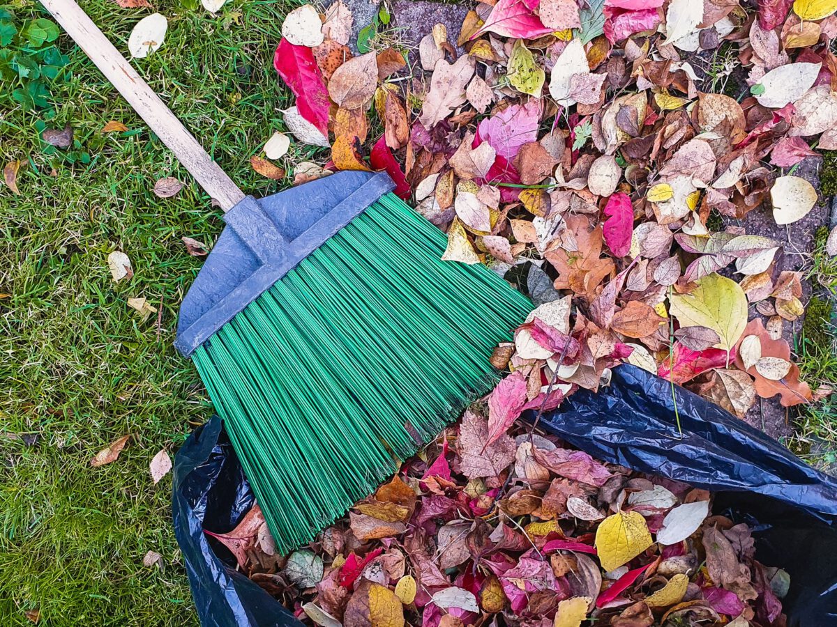 Laub auf Rasen und in Plastiksack, darauf liegt ein Besen mit grünen Borsten und Holzstiel
