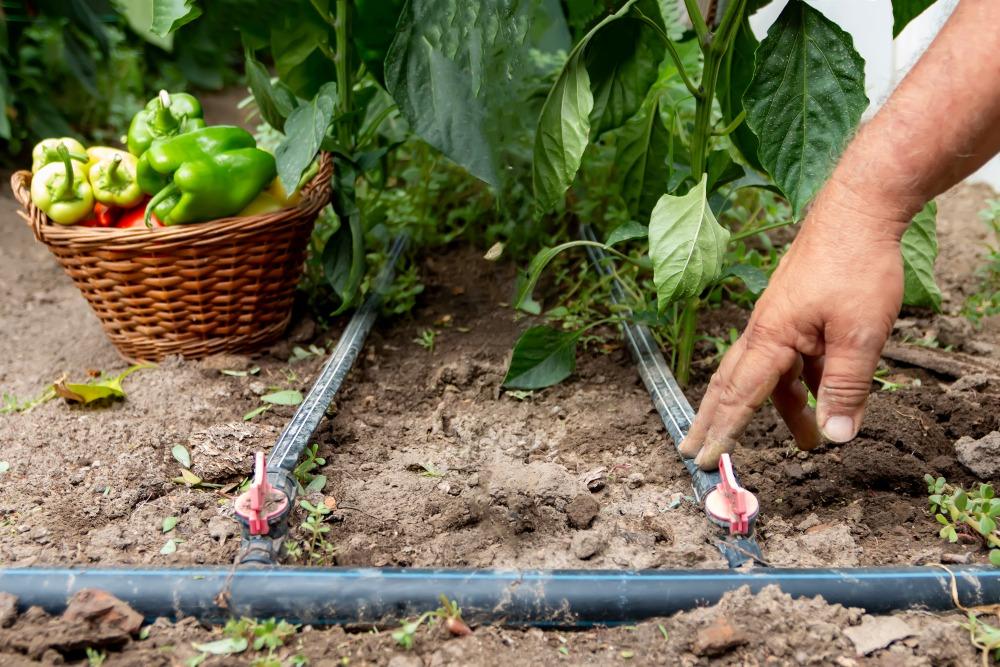 Früh geplant ist die Bewässerungsanlage pünktlich zum Sommer einsatzbereit Automatische-Gartenbewässerung