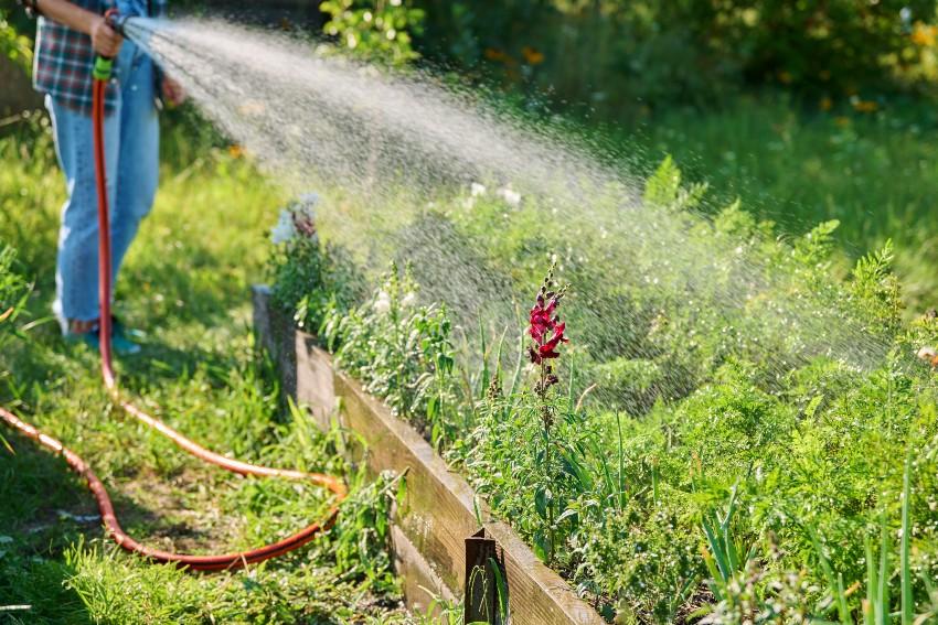 Gartenbewässerung mit Gartenschlauch