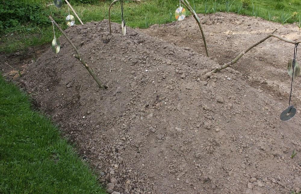 Unbepflanztes mittelhohes Hügelbeet mit Gießrille ohne oberste Mulchschicht gegen Bodenerosion (CDs dienen als Vogelscheuchen)