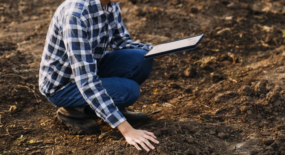 Eine gründliche Analyse des Standorts legt den Grundstein für ein stabiles, dauerhaft funktionierendes Beet Bodenprüfung-für-neuen-Garten