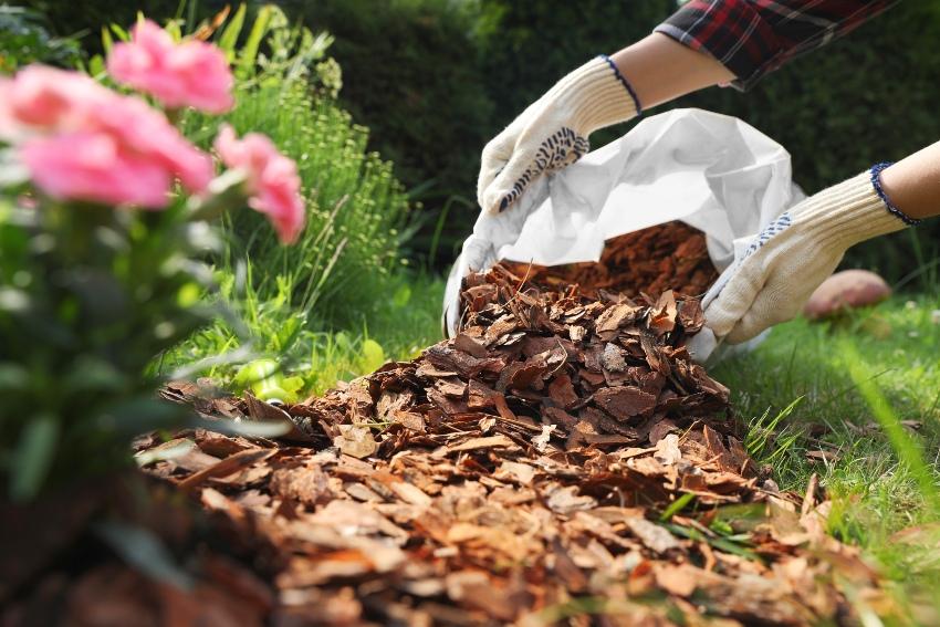 Mulch sorgt für Feuchtigkeit, Nährstoffe und einen lebendigen Boden – die Basis jeder Permakultur. Gartenmulch