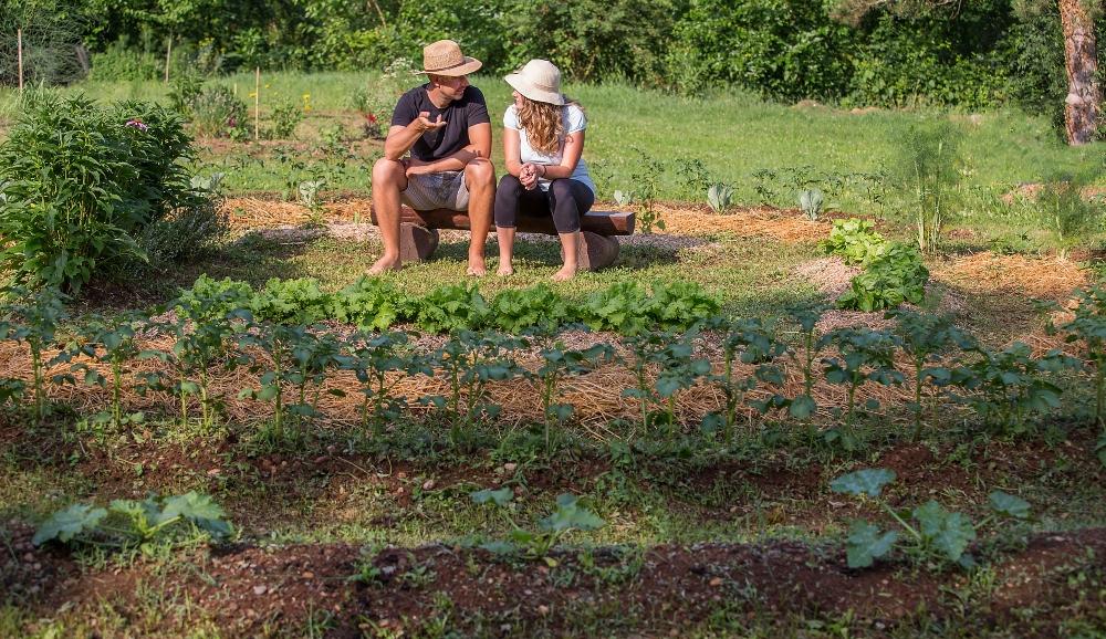 Eine Permakultur ist Gartenkonzept, das natürliche Kreisläufe nutzt und den Pflegeaufwand langfristig spürbar reduziert Permakultur Beet
