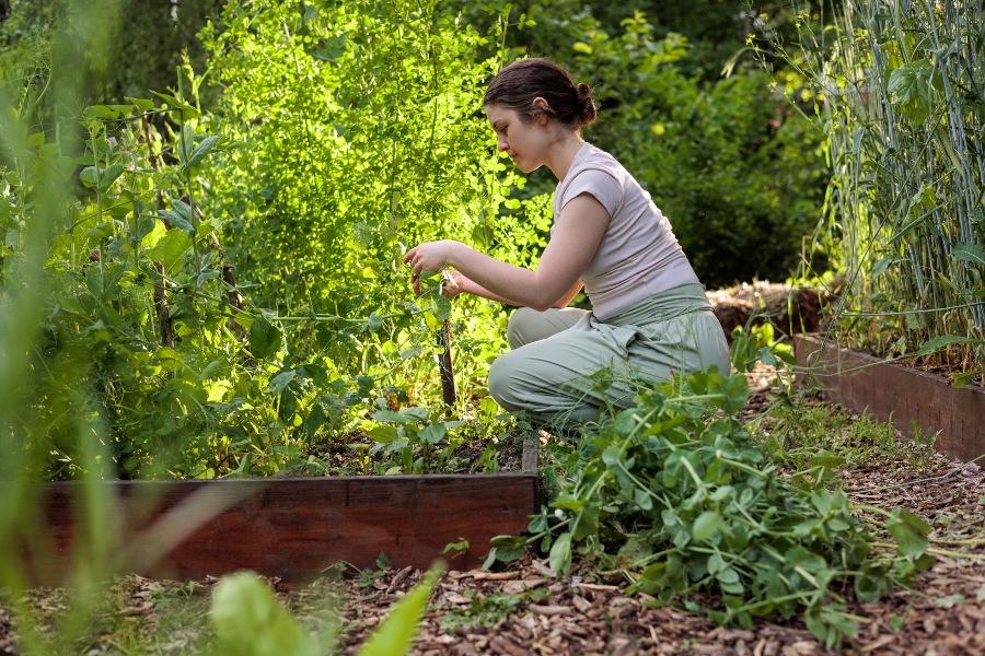 Gezielte Unterstützung statt Überversorgung – so bleibt das System robust und ressourcenschonend Permakultur Garten junge Frau 2