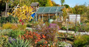 Ideen für den Schrebergarten