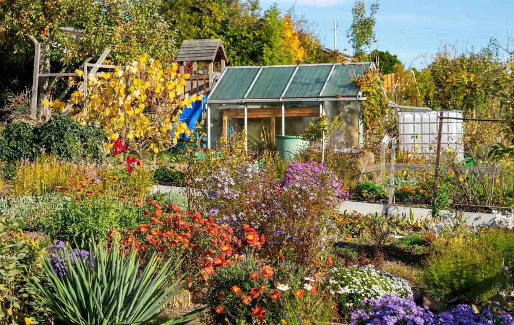 Schrebergarten Mannheim Kaufen
