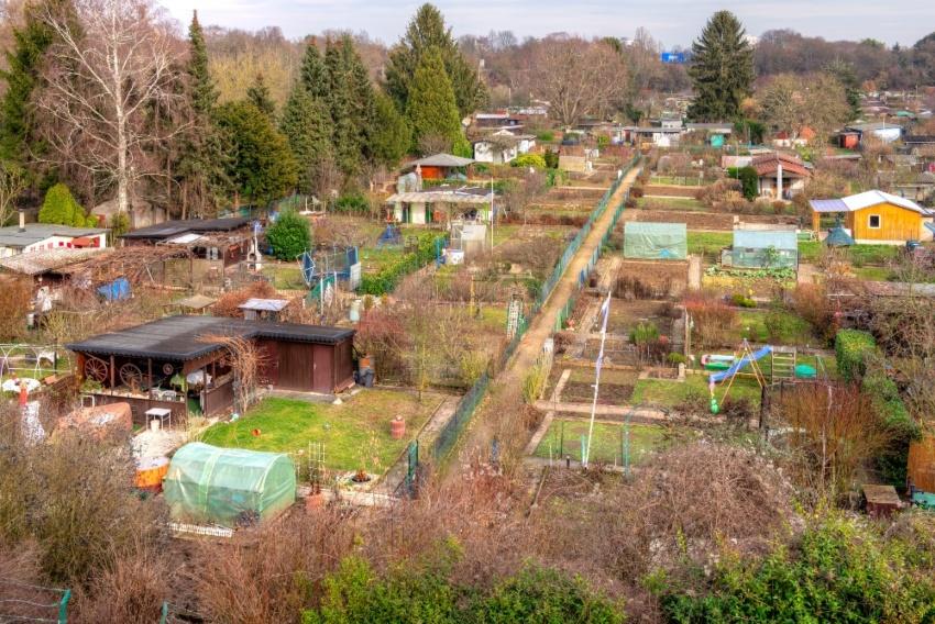 Kleingartenanlage in Frankfurt am Main (1)