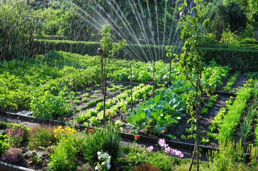 Schrebergaten-Bewässerung