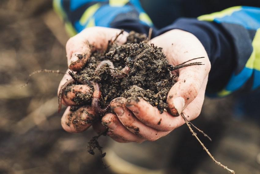 Humusreiche Böden speichern Feuchtigkeit besser und reduzieren den Bewässerungsbedarf im Beet Humus-in-der-Hand