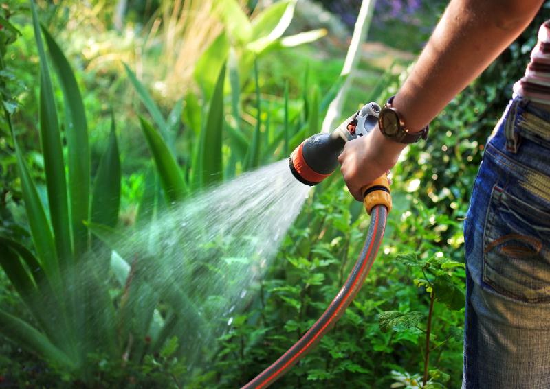 Person bewässert den Garten