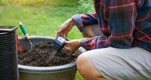 PH-Wert-der-Erde-im-Garten-Messen