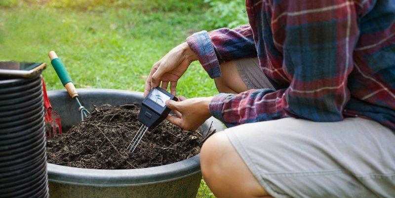 PH-Wert-der-Erde-im-Garten-Messen