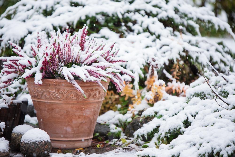 Ab kühlen Nächten unter fünf Grad ist es Zeit, den Garten winterfest zu machen Garten-im-WInter