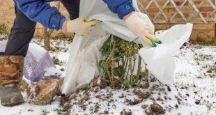 o-machen-Sie-Ihren-Garten-winterfest