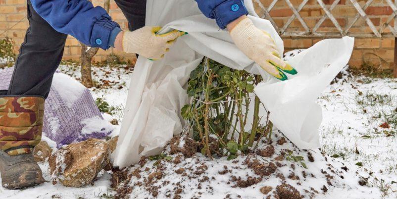 o-machen-Sie-Ihren-Garten-winterfest