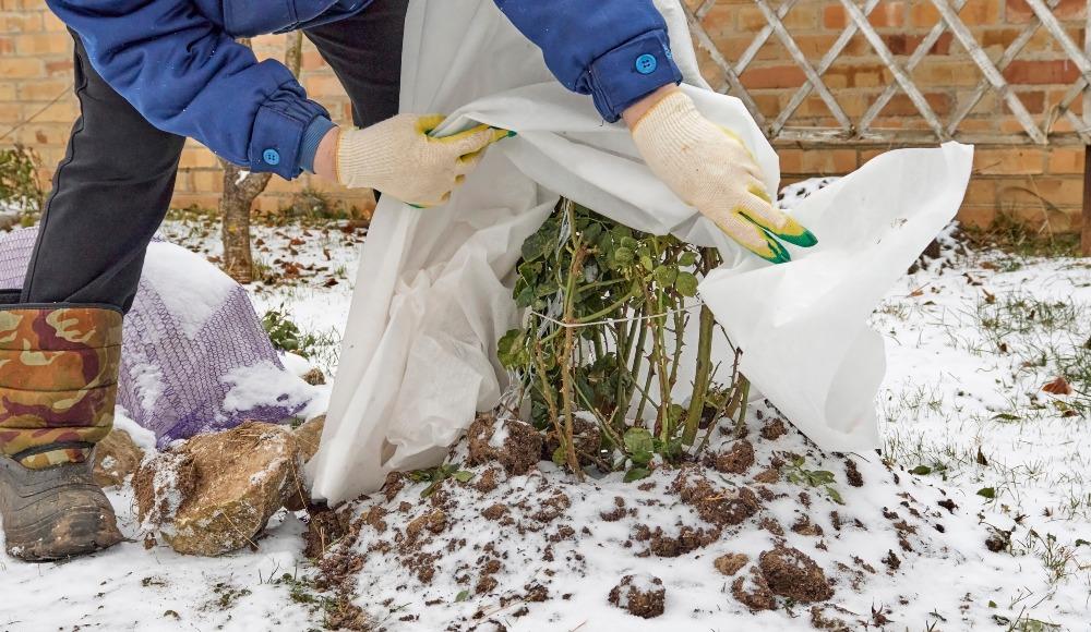 o-machen-Sie-Ihren-Garten-winterfest