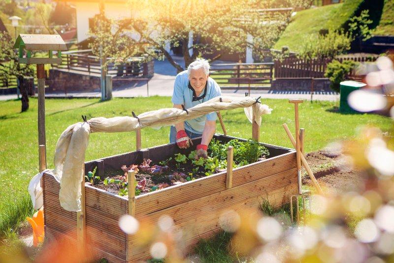 Mann-in-seinem-Garten-mit-Hochbeet