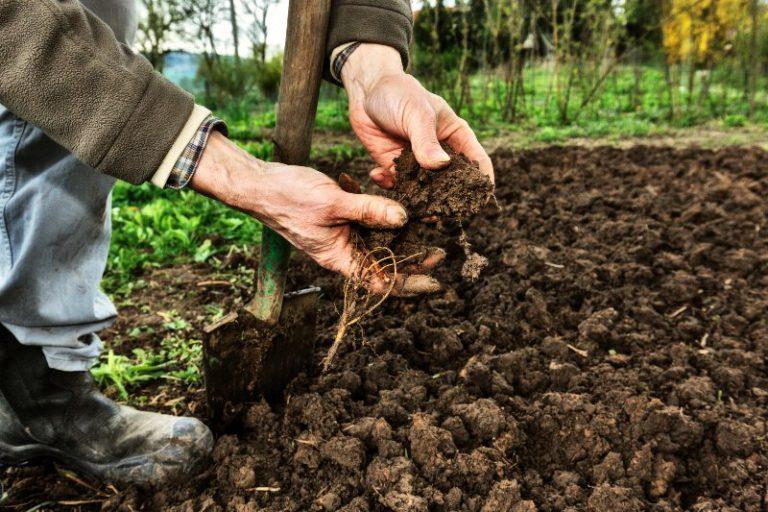 Garten umgraben im Herbst oder im Frühjahr? REKUBIK® Magazin