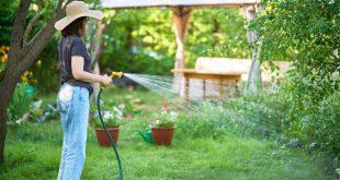 Frau-im-Garten-beim-Pflanzen-bewässern