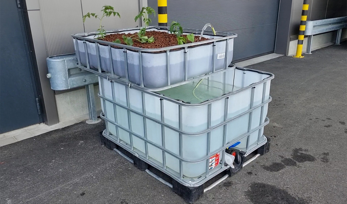 IBC Container Umbau IBC Container Umbau