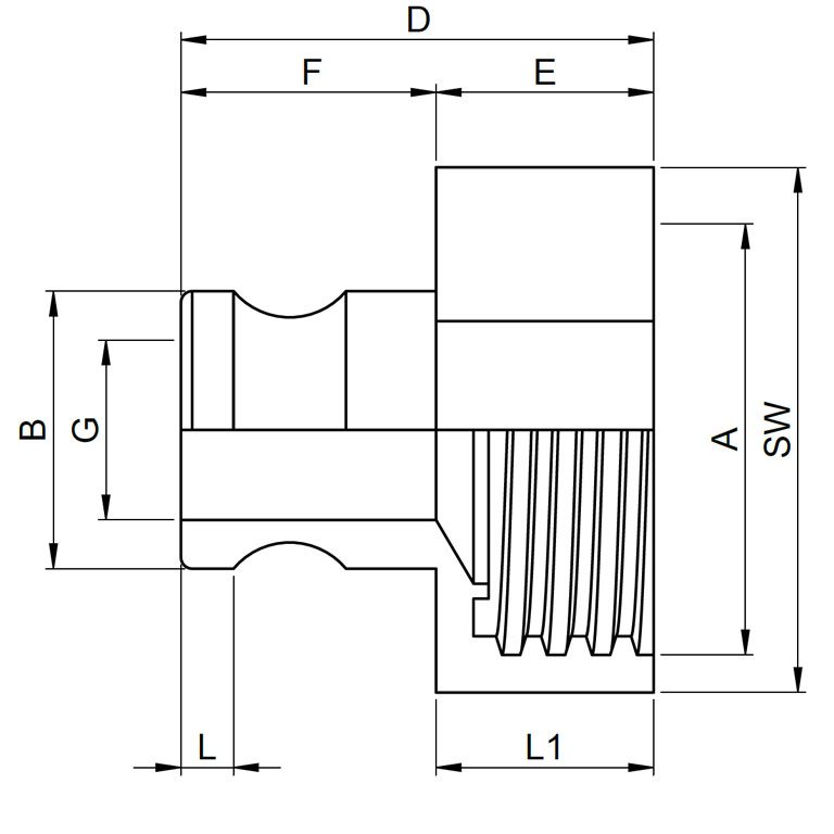 IBC-Edelstahl-Adapter-S60x6-Camlock-Stecker-VT-SS316L-DETAIL