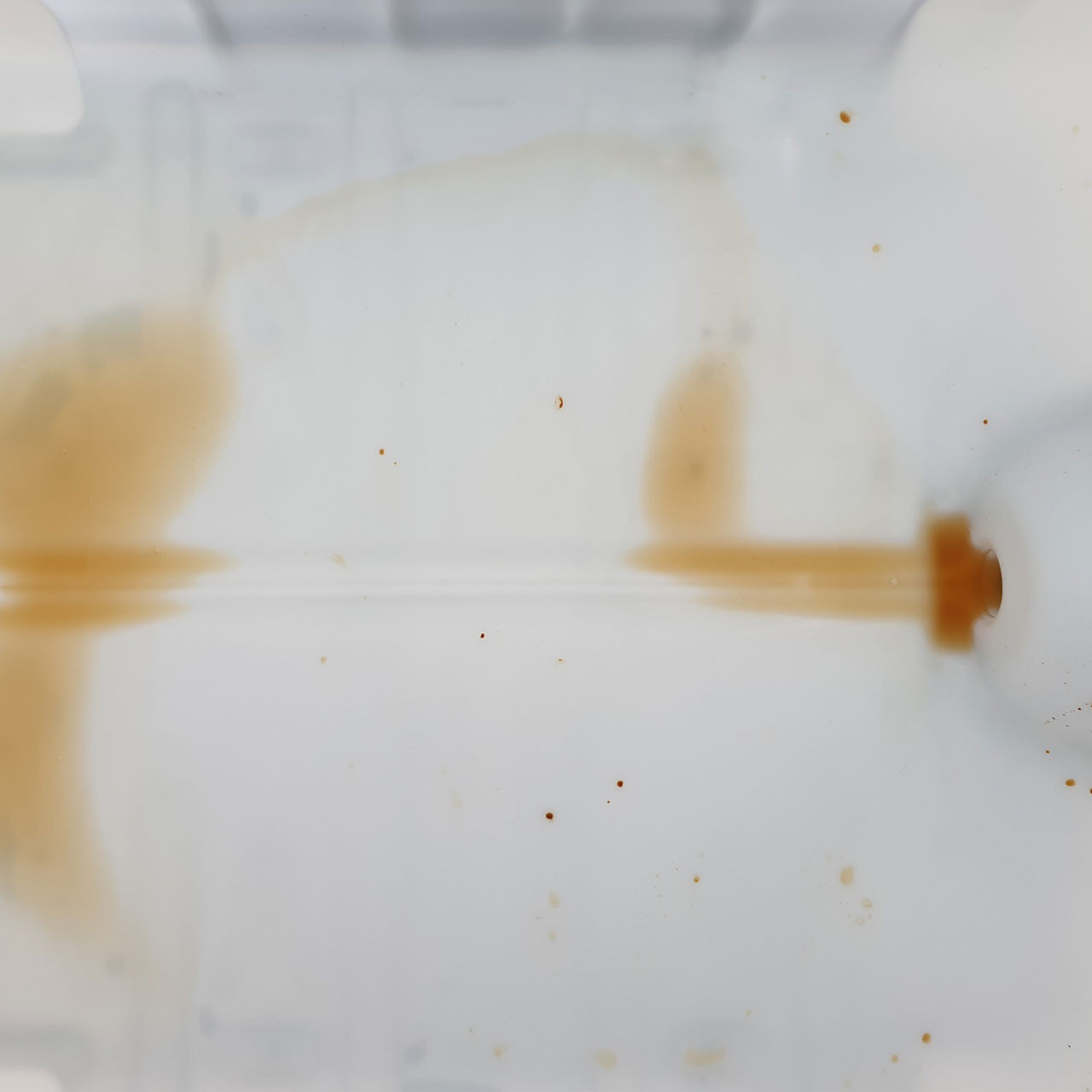 1000l-IBC-Wassertank-RESTENTLEERT-SIRUP-auf-PE-Palette-4