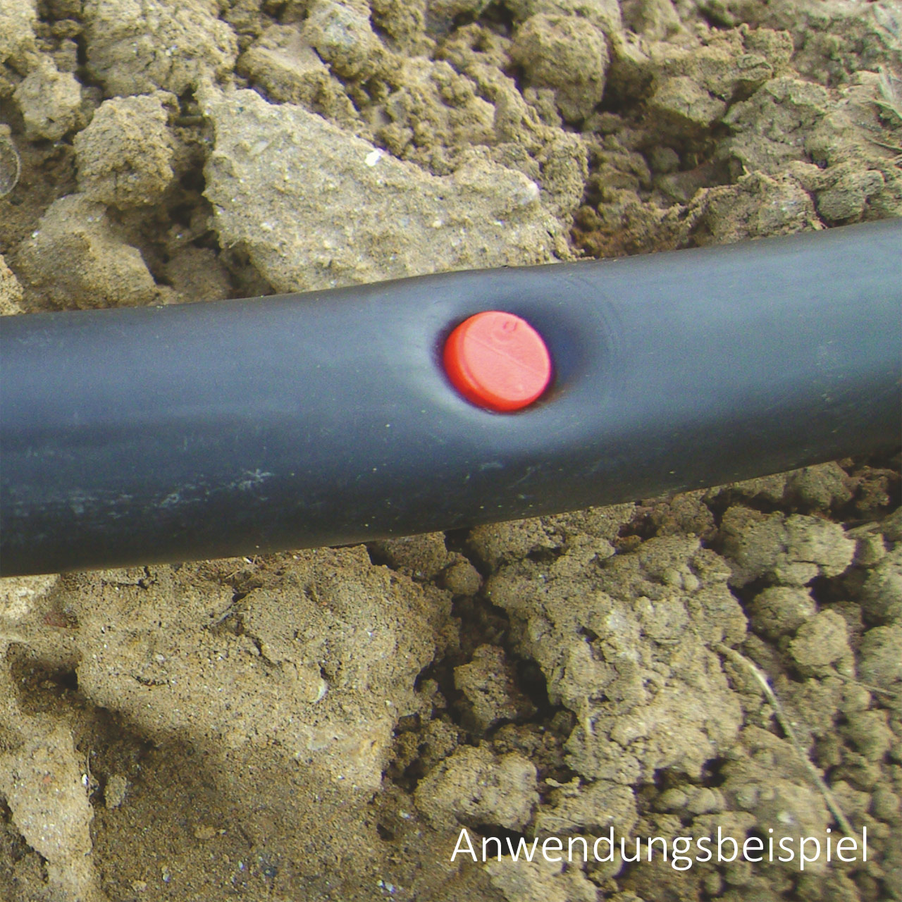 Stopfen-Plug-Stachel-Anwendung